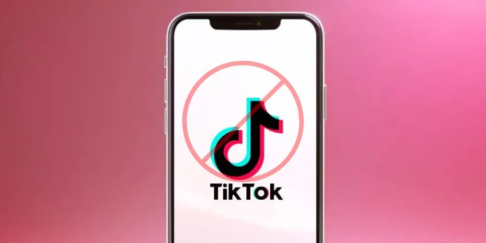 The TikTok Ban: Navigating Uncertainty in 2024